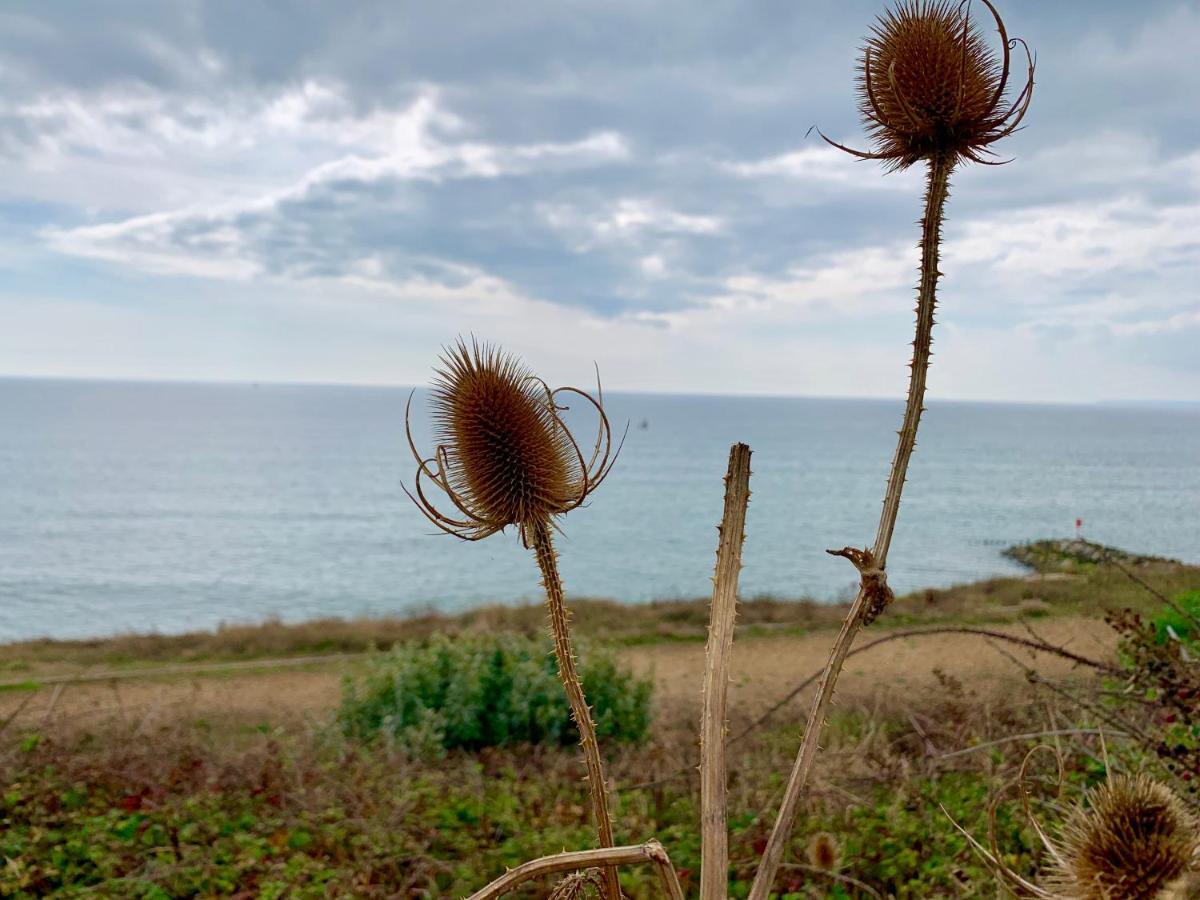 Shorefield Country Park, Where The New Forest Meets The Sea, Passes For All Entertainment Included Milford on Sea Εξωτερικό φωτογραφία