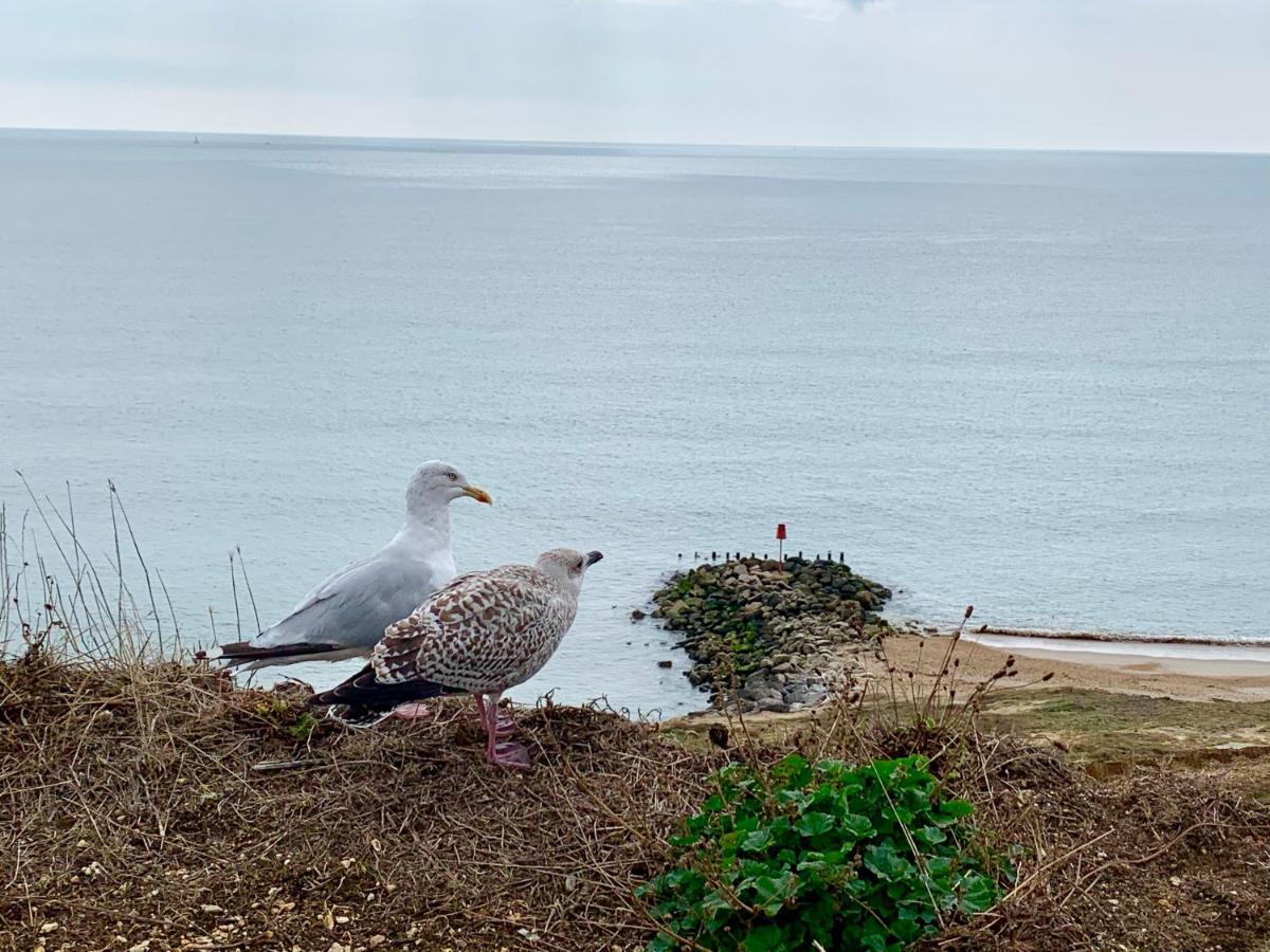 Shorefield Country Park, Where The New Forest Meets The Sea, Passes For All Entertainment Included Milford on Sea Εξωτερικό φωτογραφία