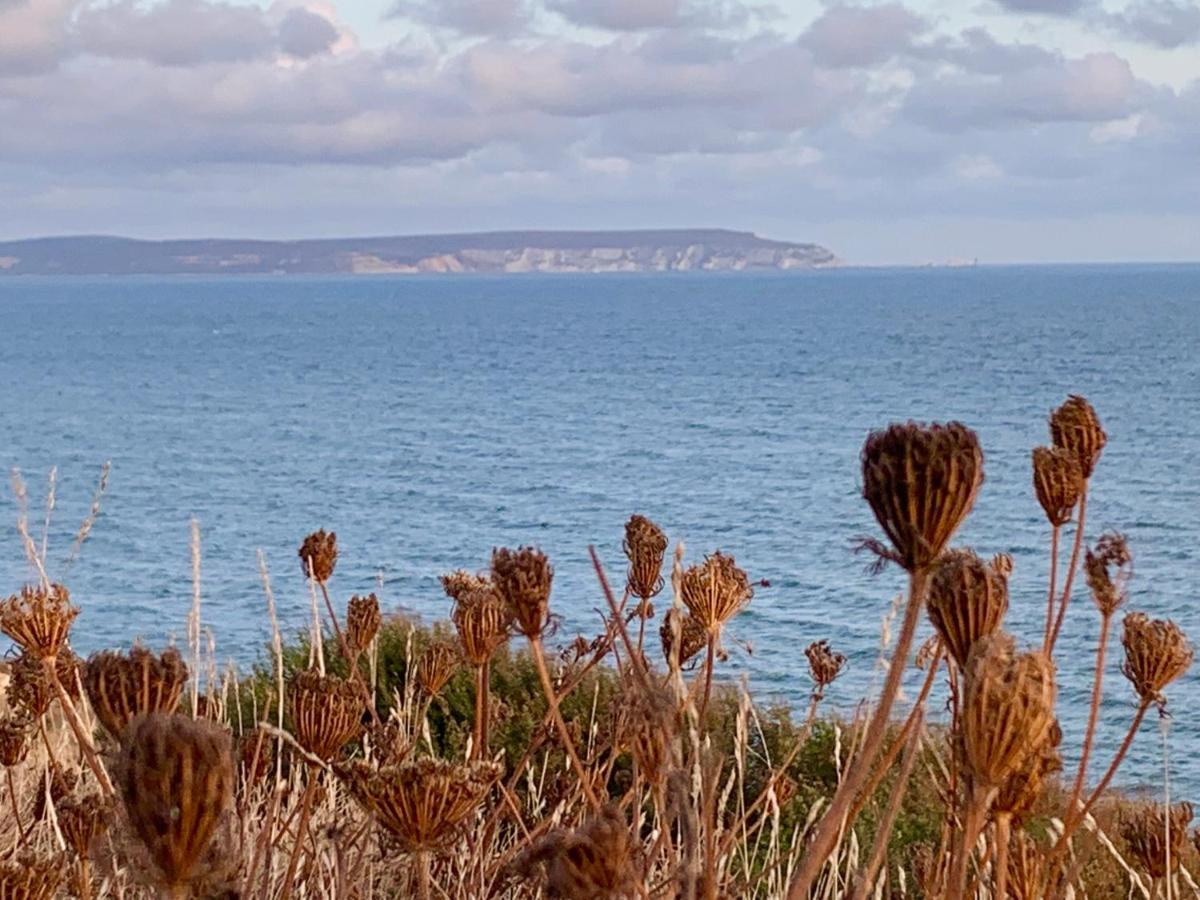 Shorefield Country Park, Where The New Forest Meets The Sea, Passes For All Entertainment Included Milford on Sea Εξωτερικό φωτογραφία