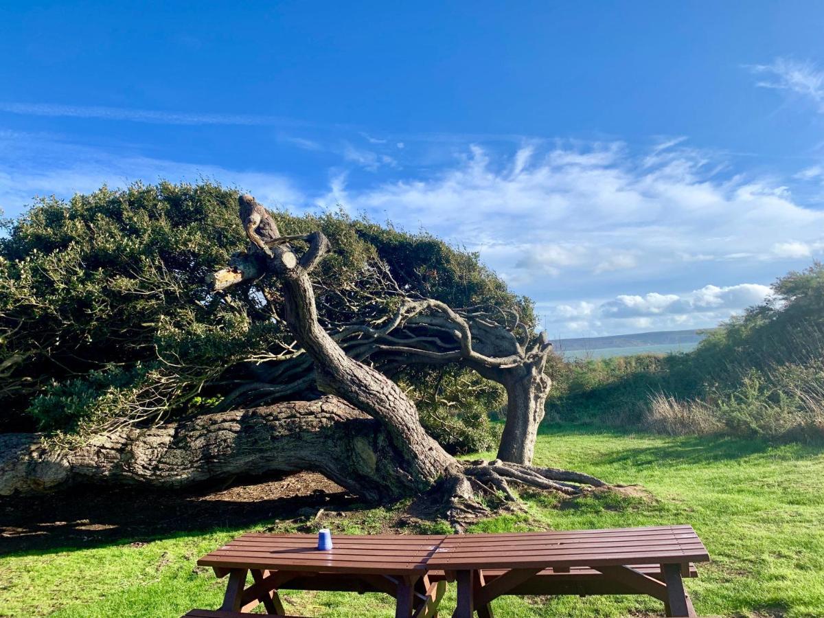 Shorefield Country Park, Where The New Forest Meets The Sea, Passes For All Entertainment Included Milford on Sea Εξωτερικό φωτογραφία
